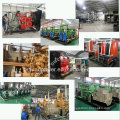 High Efficiency Cummins 300kw Biogas Generator Set Adopt Biomass, Methane, Marsh Gas, LPG